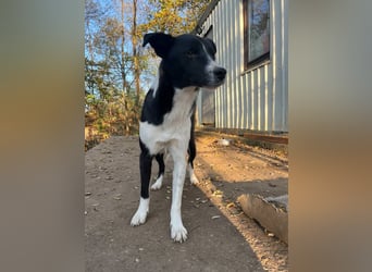 Charmante CHANTAL ist noch etwas zurückhaltend