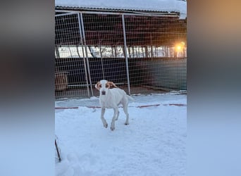 TAKITA lebensfroh, freundlich, für jeden Spaß zu haben