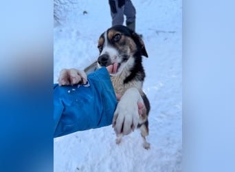 Gut gelaunte LOARA sucht Kuschelpartner fürs Leben