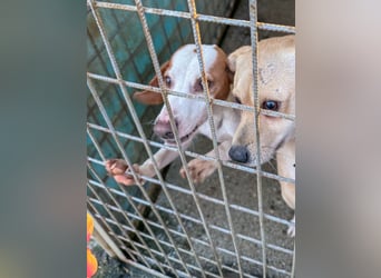 TAKITA - lebensfroh, freundlich, für jeden Spaß zu haben