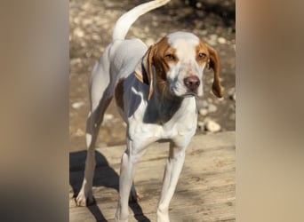 TAKITA lebensfroh, freundlich, für jeden Spaß zu haben