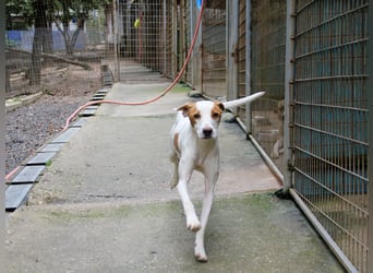 TAKITA lebensfroh, freundlich, für jeden Spaß zu haben