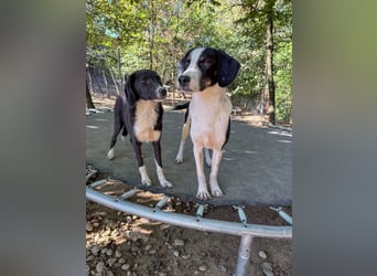 Lebensfroher AURELIO bezaubert durch seine fröhliche und liebe Art