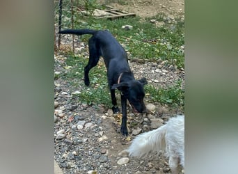 Black Beauty TEENA will mit dir ins richtige Leben starten!