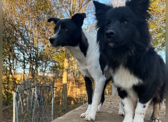 Charmante CHANTAL ist noch etwas zurückhaltend