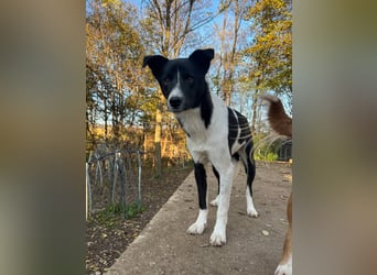 Charmante CHANTAL ist noch etwas zurückhaltend