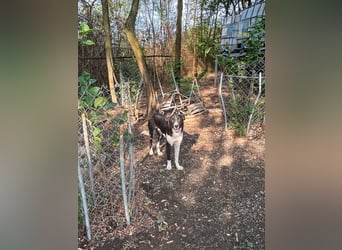 Charmante CHANTAL ist noch etwas zurückhaltend