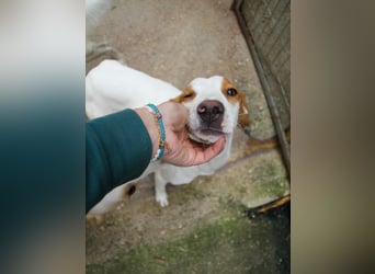 TAKITA, aufgeweckte, freundliche Fellnase sucht aktive Kuschelmenschen