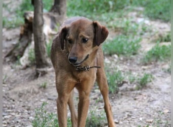 OSCAR er hat nur einen Wunsch - eigene Herzensmenschen !