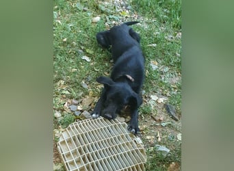 Black Beauty TEENA will mit dir ins richtige Leben starten!
