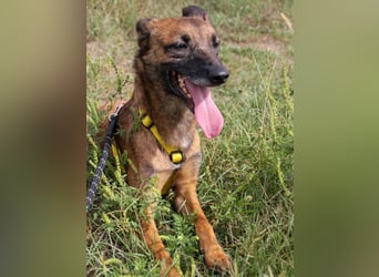 lustige NISHA wartet in 91052 Erlangen auf Dich 