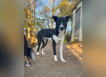 Charmante CHANTAL ist noch etwas zurückhaltend