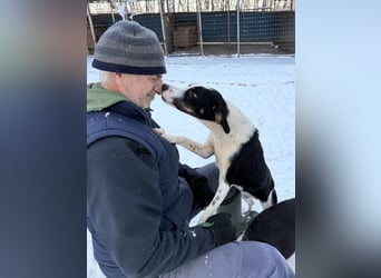 Lebensfroher AURELIO bezaubert durch seine fröhliche und liebe Art