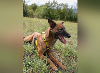 lustige NISHA wartet in 91052 Erlangen auf Dich 