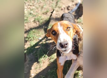 wunderschöne OFELIA, friedlich, liebevoll & ruhig