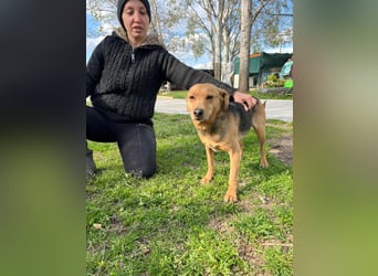 SRECKO – sanfter Schatz auf der Suche nach seinem Glück