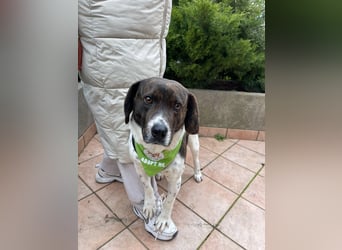 MAILO – Ein ausgeglichener Schatz mit besonderen Augen