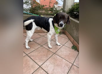 MAILO – Ein ausgeglichener Schatz mit besonderen Augen