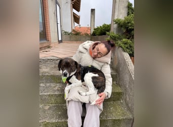 MAILO – Ein ausgeglichener Schatz mit besonderen Augen