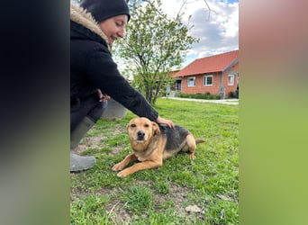 SRECKO – sanfter Schatz auf der Suche nach seinem Glück