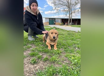 SRECKO – sanfter Schatz auf der Suche nach seinem Glück