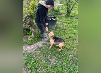 SRECKO – sanfter Schatz auf der Suche nach seinem Glück