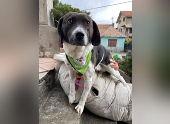 MAILO – Ein ausgeglichener Schatz mit besonderen Augen