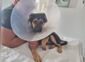 Mila sucht besondere Menschen