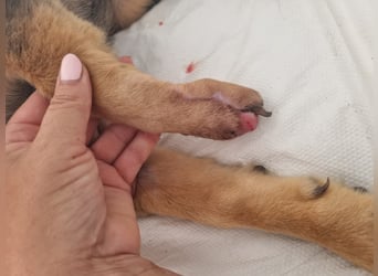 Mila sucht besondere Menschen