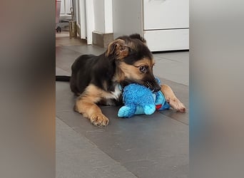 Mila sucht besondere Menschen