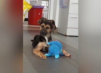 Mila sucht besondere Menschen