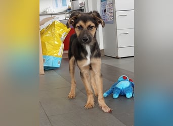 Mila sucht besondere Menschen