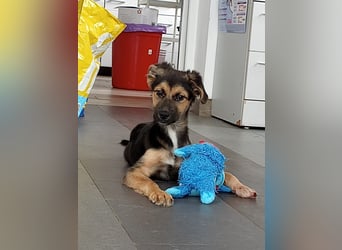 Mila sucht besondere Menschen