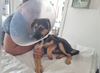 Mila sucht besondere Menschen