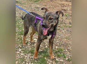 Bibi 45cm geb. 12/2024 sucht ein liebevolles Zuhause