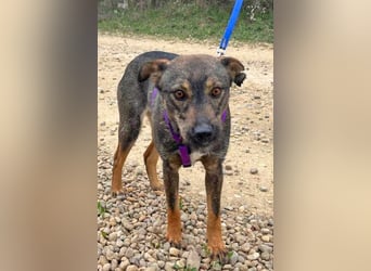 Bibi 45cm geb. 12/2024 sucht ein liebevolles Zuhause