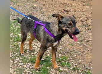 Bibi 45cm geb. 12/2024 sucht ein liebevolles Zuhause