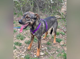 Bibi 45cm geb. 12/2024 sucht ein liebevolles Zuhause