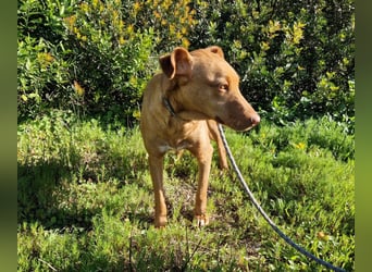 GODVIN sucht entspannte Menschen