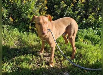 GODVIN sucht entspannte Menschen