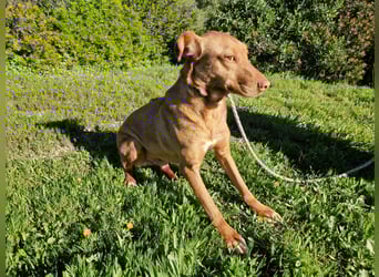 GODVIN sucht entspannte Menschen