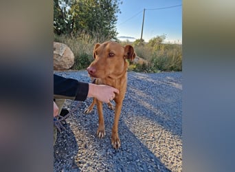 GODVIN sucht entspannte Menschen