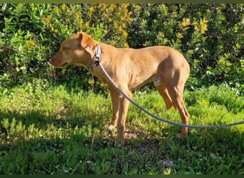 GODVIN sucht entspannte Menschen