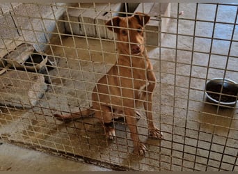 GODVIN sucht entspannte Menschen