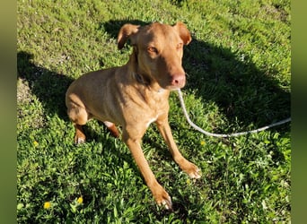 GODVIN sucht entspannte Menschen