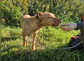 GODVIN sucht entspannte Menschen