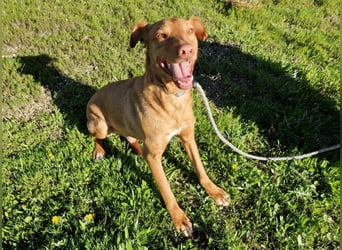 GODVIN sucht entspannte Menschen