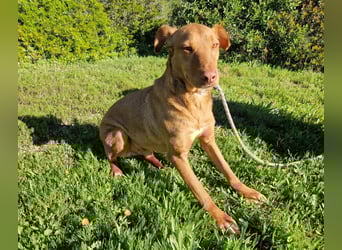 GODVIN sucht entspannte Menschen