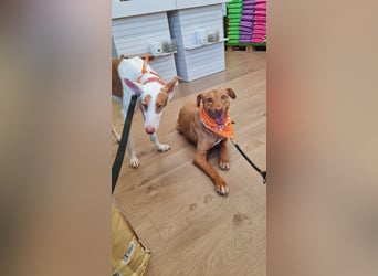 GODVIN sucht entspannte Menschen