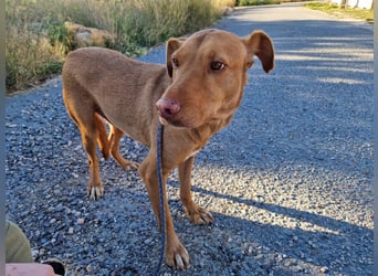 GODVIN sucht entspannte Menschen